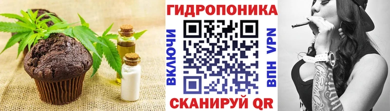 закладка  hydra зеркало  Canna-Cookies конопля  Искитим 