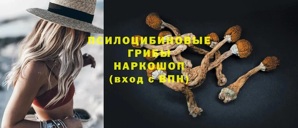 PSILOCYBIN Армянск